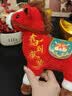 SHIQIAN2026年马年吉祥物公仔毛绒玩具生肖马玩偶新年礼物年会礼品定制 马到成功25cm 实拍图