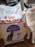 皇家绝育成猫粮 SA37通用粮1-7岁4.5KG 实拍图