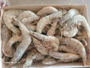 卖鱼郎先生青岛盐冻大虾净重3.6斤 10-15只/斤 白虾大虾基围虾生鲜 虾类 实拍图