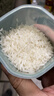 正宗广西米农家米15kg大米不抛光不打蜡乡下米 30斤新鲜晚稻新米 实拍图
