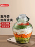 天喜（TIANXI）泡菜坛子家用加厚密封罐透明大容量腊八蒜罐泡酒罐腌菜坛子 5斤装 实拍图