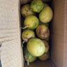 京喜加广西 黄金百香果钦蜜9号现摘新鲜水果白香果青果发货 小果实惠 20粒【小果-单果30-45g】 实拍图