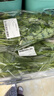 大菠菜300g 实拍图