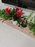 年销花鸿运当头春节大型盆栽绿植过年大凤梨客厅装饰送礼好养年货 鸿运当头3颗装【配几何花盆】 【年宵花】鸿运当头 实拍图