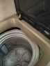 志高（CHIGO）全自动洗衣机 家用小型波轮 洗脱一体机大容量 公寓宿舍出租房 10KG咖啡金【蓝光洗护+风干洁桶+强电机】 实拍图