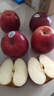 京鲜生Mr Apple新西兰皇后红玫瑰苹果12粒礼盒单果130-150g源头直发包邮 实拍图