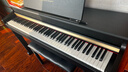 特伦斯电钢琴88键重锤专业电子钢琴成人儿童家用立式电钢E55 典雅黑色【演奏级】 实拍图