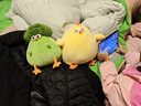 名创优品（MINISO）墩墩鸡11寸蔬菜鸡公仔dundun鸡毛绒玩具玩偶抱枕生日礼物女 25cm 实拍图