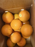 诸氏橙品【褚系严选】官方橙子水果 云南冰糖橙 高山香脐甜橙春节年货礼盒 褚系严选鲜橙-5斤特级XL果约150g 实拍图