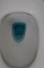 巨奇严选 蓝泡泡洁厕宝 50g*15块洁厕块 去污洁厕灵厕所马桶清洁剂 实拍图