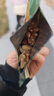 百草味每日纯坚果750g独立小包装全坚果休闲零食开心果腰果礼盒送礼 实拍图