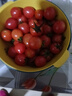 新鲜千禧圣女果小番茄现摘现发多汁水果适合孕妇食用 2斤 实拍图