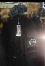 雪中飞【成毅同款】【鹅绒】男女同款羽绒服貉子毛领中长羽绒服工装保暖 黑色|8056 XS 160/84A（尺码偏大选小一码） 实拍图