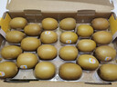 佳沛（zespri）新西兰 阳光金奇异果12粒礼盒特大果单果约122-146g 猕猴桃 水果 实拍图