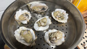 老蟹将 鲜活乳山生蚝 生态水域现捞牡蛎特大刺身级品质烧烤食材年货送礼 4XL 10斤(包活到家) 实拍图