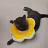 华元宠具（hoopet）猫咪伊丽莎白圈项圈宠物狗狗圈耻辱圈颈圈脖圈头套犬防舔头罩头套 实拍图