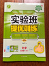 2025春 实验班提优训练 九年级下册 化学人教版 强化拔高同步练习册 实拍图