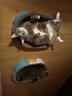 疯狂的主人猫抓板窝特大号猫玩具猫爪板猫抓盆不掉屑猫窝椭圆形瓦楞纸 实拍图