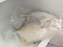 卖鱼七郎 国产冷冻金鲳鱼 3条装 净重2.7斤 海鱼特大 生鲜鱼类海鲜水产 实拍图