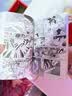 宝可梦特别篇精选爱藏版 红绿蓝篇 上 实拍图