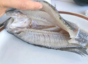 有机淡水鲈鱼【顺丰-多地次日达】孕妇宝宝健康食辅鲜活三去水产 200g*5条【宝宝鲈鱼) 有机认证 现杀发出 实拍图