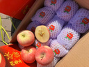 阿克苏苹果 新疆阿克苏冰糖心苹果【闪送】新鲜丑水果礼盒圣诞节苹果礼物 【热销-精品大果】单果75-80mm｜冰糖甜 净重5斤装【超值推荐-80%选择*】 实拍图