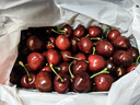 京鲜生 智利进口车厘子2J级 900g礼盒装 果径约28-30mm 新鲜水果礼盒 实拍图