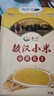 赤川敖汉黄小米5斤 25年新米金苗K1 内蒙古赤峰小米粥杂粮粥黄小米 实拍图