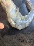 虾有虾途国产青岛大虾白虾青虾基围虾鲜虾冷冻生鲜虾类鲜活特大海捕整箱装 17-20厘米超大号 3.6斤(净重) 实拍图