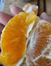 京鲜生 四川爱媛38号果冻橙 5斤 单果180g起 生鲜水果柑橘桔子年货礼盒 实拍图