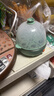 九阳（Joyoung）煮蛋器多功能智能蒸蛋器 14个蛋量 ZD14-GE140（飞泉绿） 实拍图