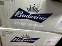 百威冰啤酒500ml*18听整箱装【99%好评】京东自营新年送礼 实拍图