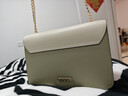 COOGI包包女款轻奢品牌女士单肩包女斜挎包女情人节生日礼物送女友老婆 抹茶绿 实拍图