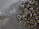 食尚半岛山东金乡鱼台大蒜农家自种干蒜新鲜蔬菜紫皮批发多瓣祘头当季 【中果】精品大蒜5斤 实拍图