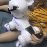 JJRC新年礼物儿童早教智能声控机器狗玩具男孩1-3岁宝宝4-6-8岁小孩 宝石蓝N3【遥控+手控+声控模式】 元旦新年礼物仿生机械狗送两岁二到三岁2孩子生日礼物 实拍图