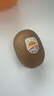 佳沛（zespri）新西兰  阳光金奇异果16粒礼盒经典果单果约 77-103g 水果 猕猴桃 实拍图