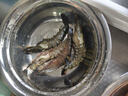 鲜京采 鲜冻大号黑虎虾 去冰净重2斤 31-40只/盒 斑节对虾 实拍图