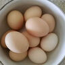 山林散养鲜鸡蛋40g枚早餐京东包邮买菜生鲜土鸡蛋溏心蛋水煮蛋 12枚 40g 实拍图