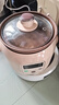 小熊（Bear）电炖锅紫砂锅 电炖盅紫陶电砂锅家用煲汤炖汤锅养生锅 婴儿辅食燕窝熬粥DDG-D20N1 2L紫砂直炖 2L 实拍图