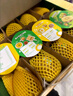 佳沛（zespri）新西兰  阳光金奇异果10粒礼盒巨大果单果约144-175g 水果 猕猴桃 实拍图