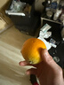京鲜生 四川爱媛38号果冻橙 净重8.5-9斤 单果210g+ 源头直发包邮 实拍图