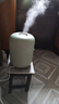 飞科（FLYCO） 空气加湿器卧室办公室桌面家用大容量宿舍易清洁大雾量净化空气 FH9213【典雅绿】4L 实拍图