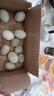 鸭蛋新鲜生鸭蛋60-70g土鸭蛋农家散养青皮白皮生鲜食品超市批发 10枚 实拍图