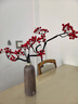 京东鲜花 发财红果浆果冬青仿真罗汉果插花客厅茶室花艺家居高端装饰摆设 实拍图