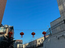 嘉德朗灯笼大门阳台挂的2026大红灯笼春节新年结婚婚礼装饰led灯植绒布 彩福80#+LED灯 【1对装】 适合阳台 商品房 55cm 实拍图
