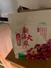 十月稻田 新疆红枣 500g 和田骏枣大枣 休闲零食 蜜饯果干 滋补八宝粥 实拍图