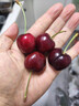 京鲜生 智利车厘子2J级5斤礼盒装果径约28-30mm  水果礼盒【赠送卡尺】 实拍图