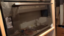 美的（Midea）【国家补贴】嵌入式微蒸烤炸炖5合1蒸烤箱一体机GR6 55L家用 脱脂燃卡全域双彩屏空气炸烤箱R6 实拍图