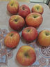 趣尝鲜新疆阿克苏冰糖心苹果净重5斤单果80-85mm一级1号会员店源头直发 实拍图