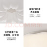 雷士（NVC）简约奶油风玄关灯书房卧室花型吸顶灯天花走廊灯24瓦 实拍图